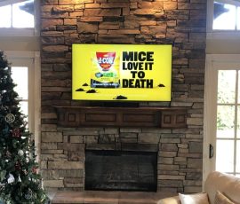 A TV above a stone fireplace displays an ad for d-CON with the text "MICE LOVE IT TO DEATH.
